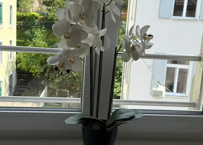 St Gallen - 5 Min Vom Bahnhof - Roter Platz *