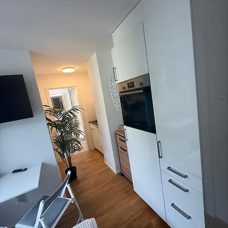 Apartamento St Gallen - 5 Min Vom Bahnhof - Roter Platz *